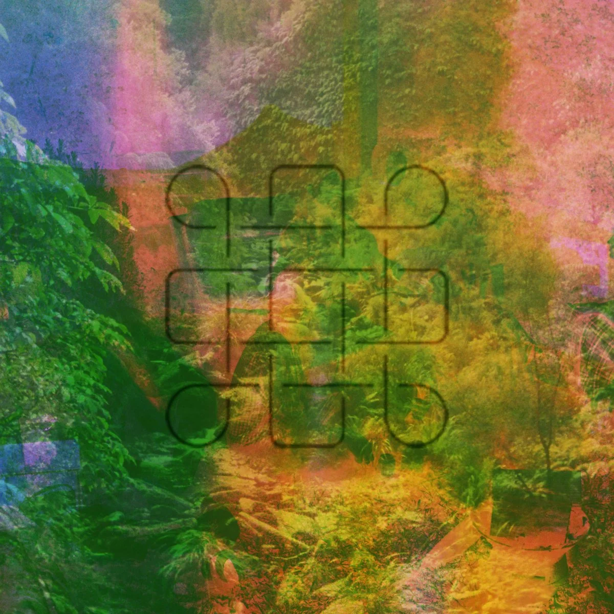 Sauin album art