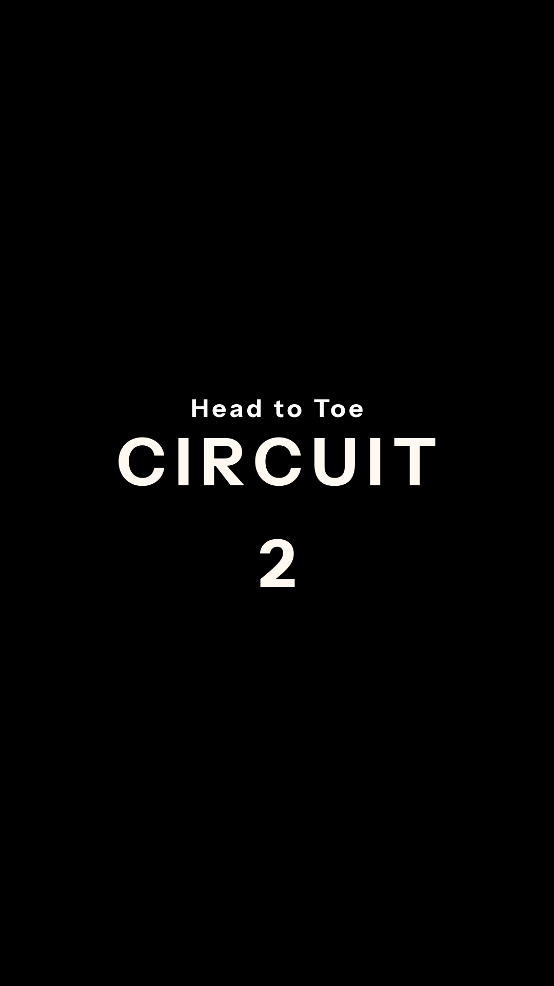 Head to Toe Circuit 2