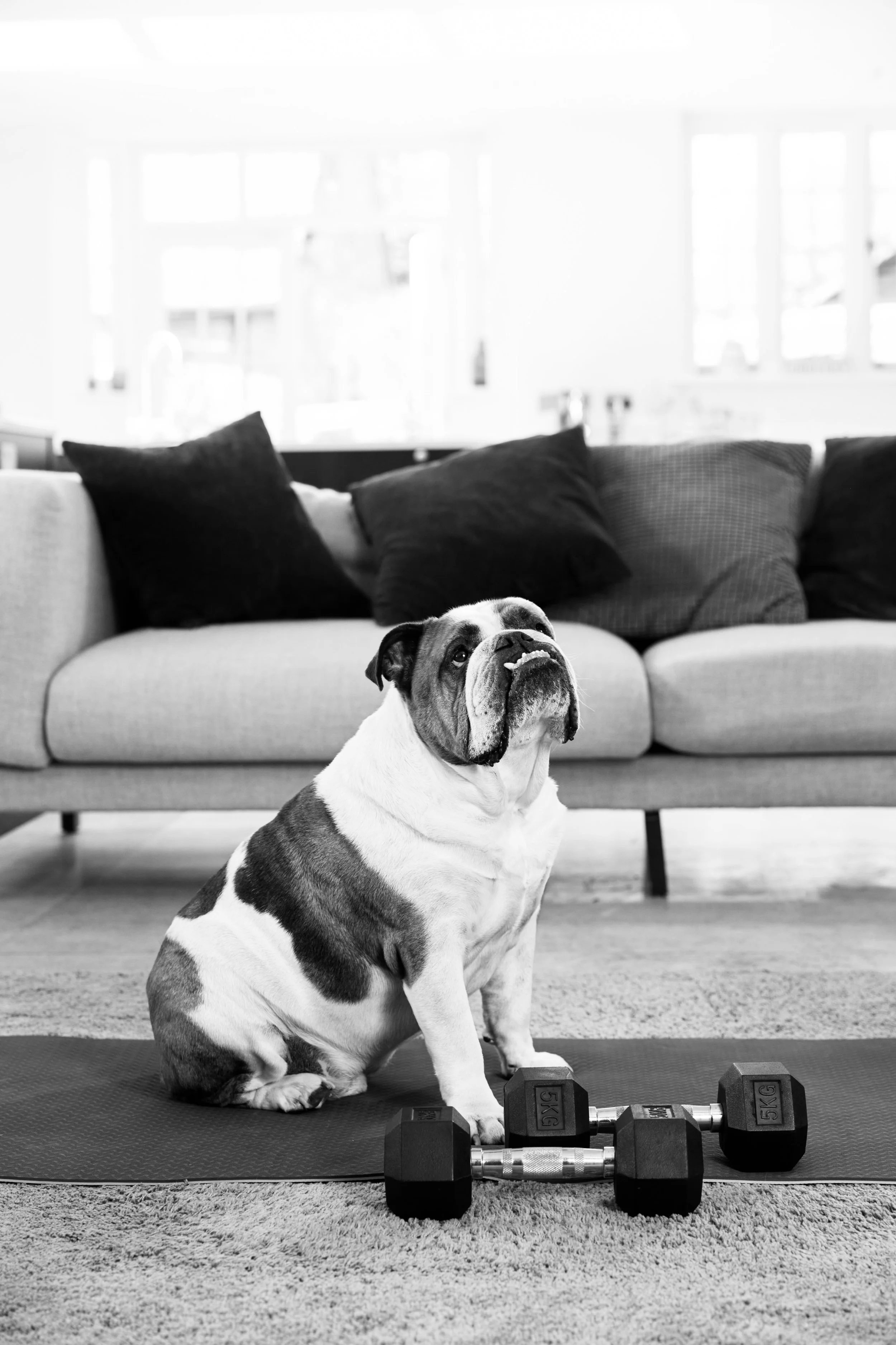 Yoga Strength + Calisthenic