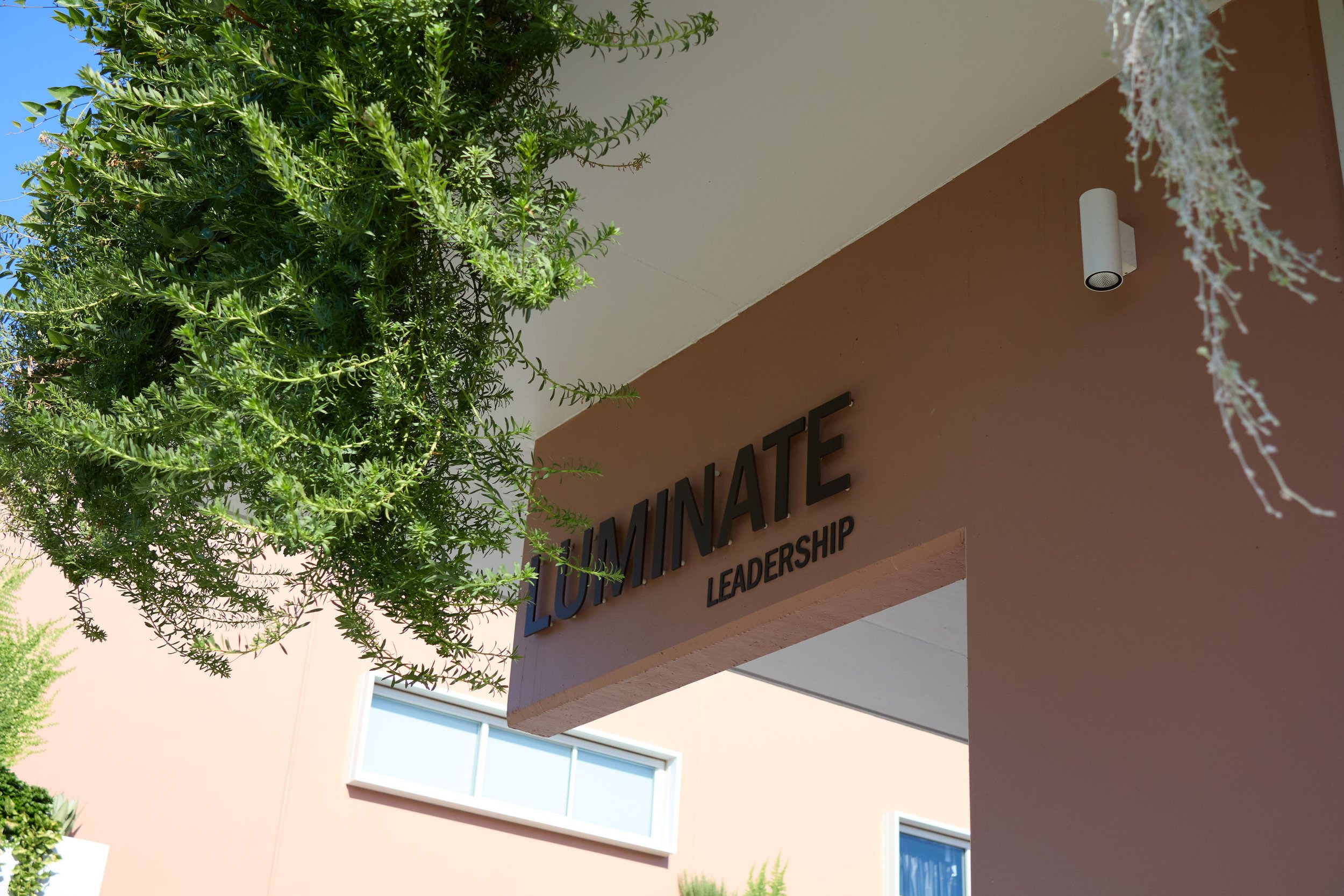 gather_luminate 80.jpg