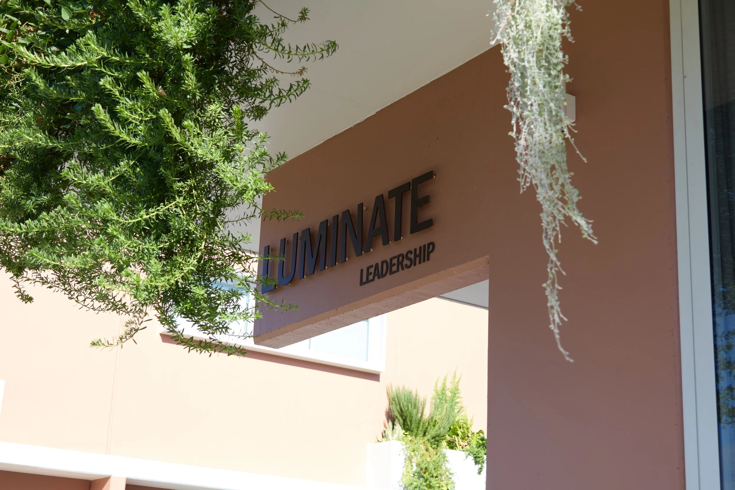 gather_luminate 84.jpg