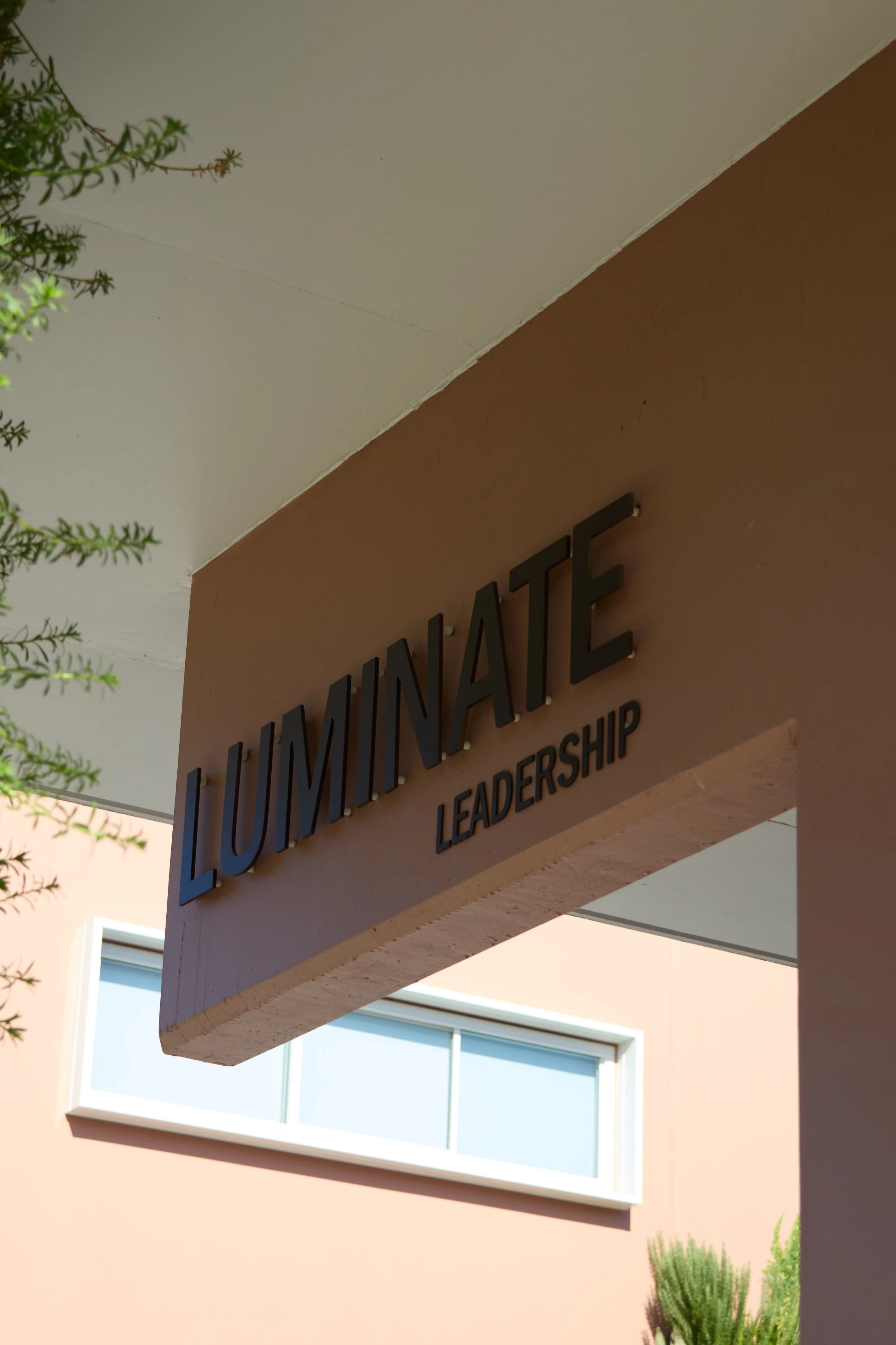 gather_luminate 79.jpg