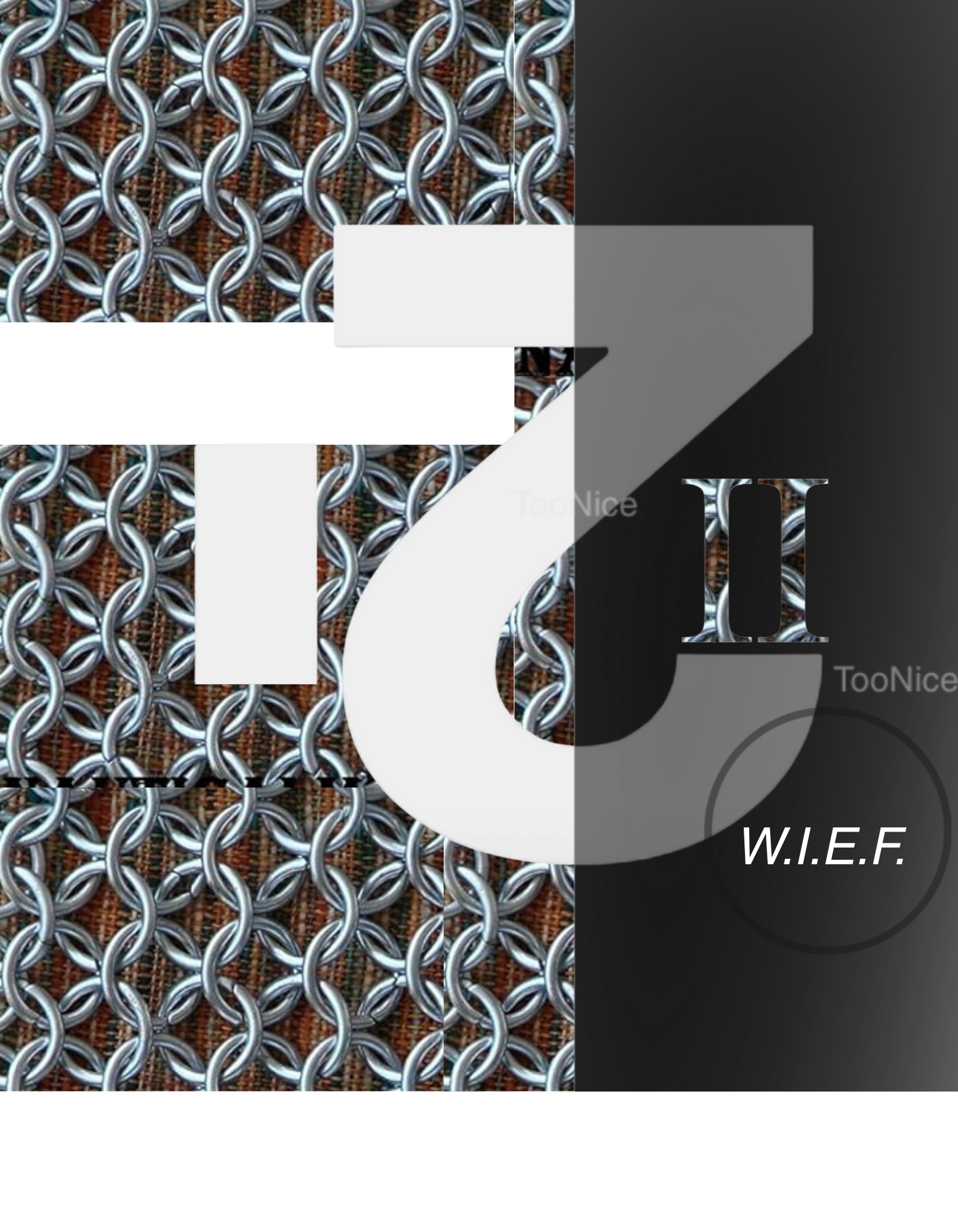 W.I.E.F. Unisex T-Shirt