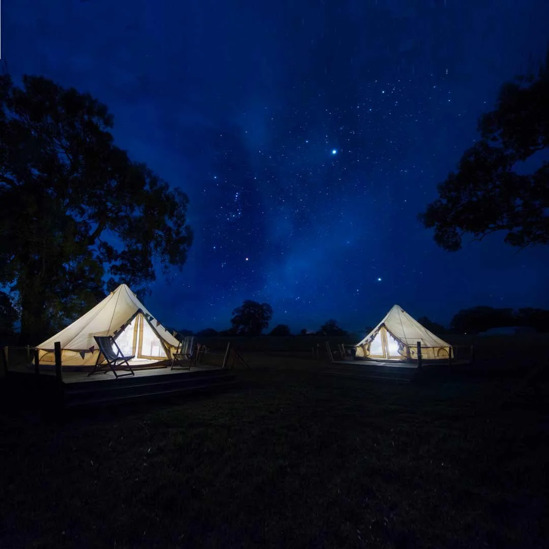 Bellwether-camping-Coonawarra-under-the-stars_e13718ec-0f6b-4002-8f37-db098c9e2649.jpg