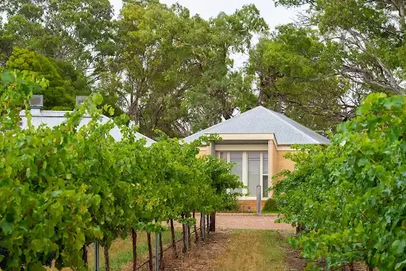 Menzies Retreat - Set Amongst the Vines.webp