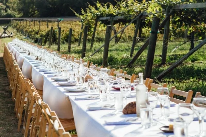 Long outdoor banquet table with white tablecloths, glassware, plates, and bread, set up in a vineyard with grapevines in the background.