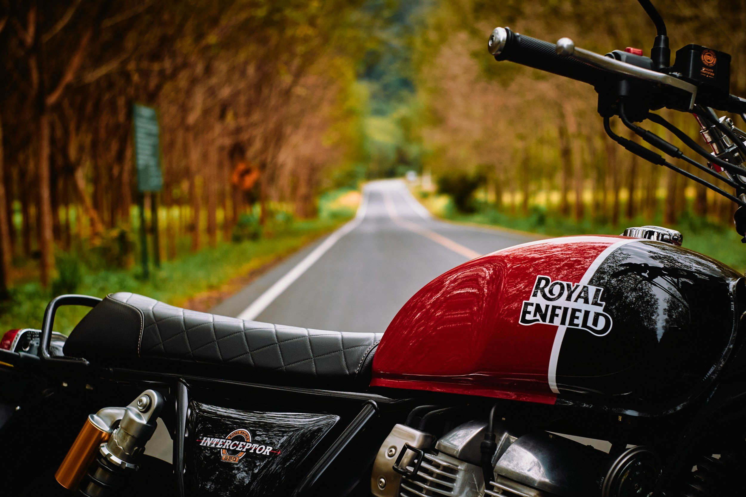 Close-up of a motorcycle with a red and black Royal Enfield logo, parked on a road surrounded by trees in a forested area.