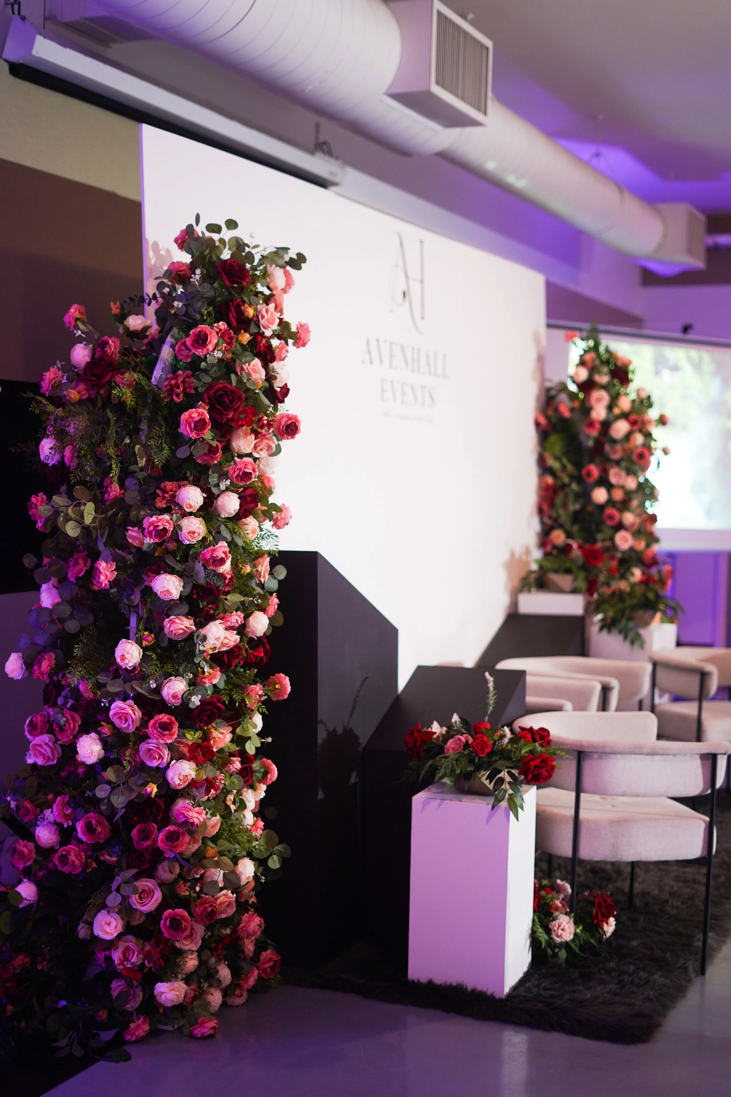 AVENHALL BRAND LAUNCH