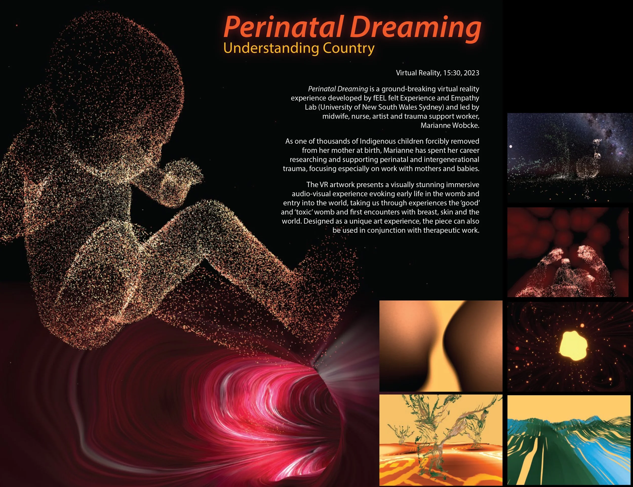 perinatal dreaming pamphlet 2.jpg