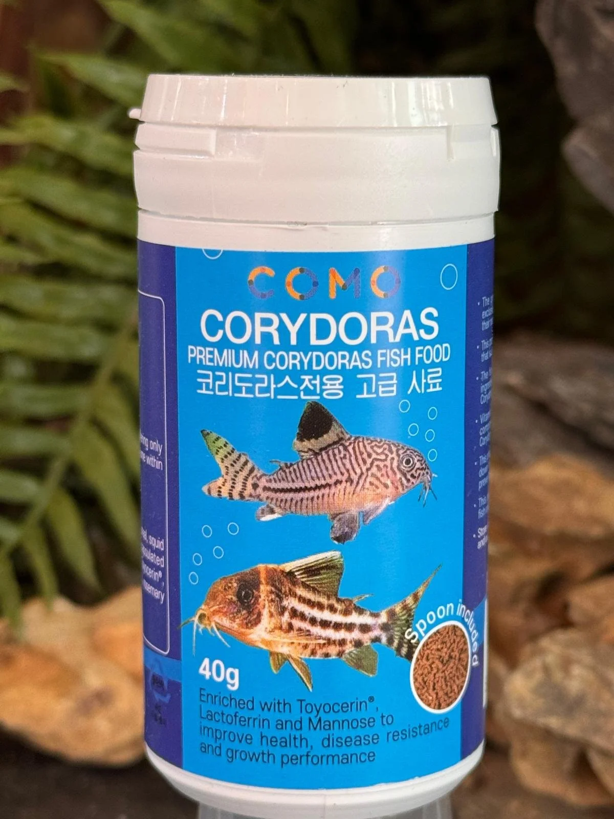 Como Corydoras