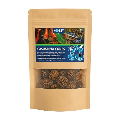 Casurina cone.jpg