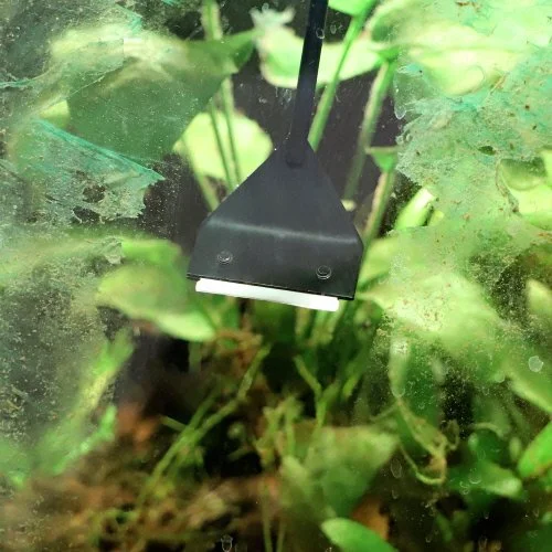 Algae scraper1.jpg