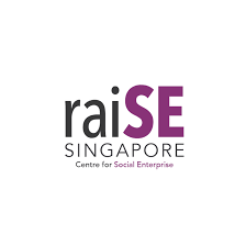 RaiSE Singapore logo with purple and black text.