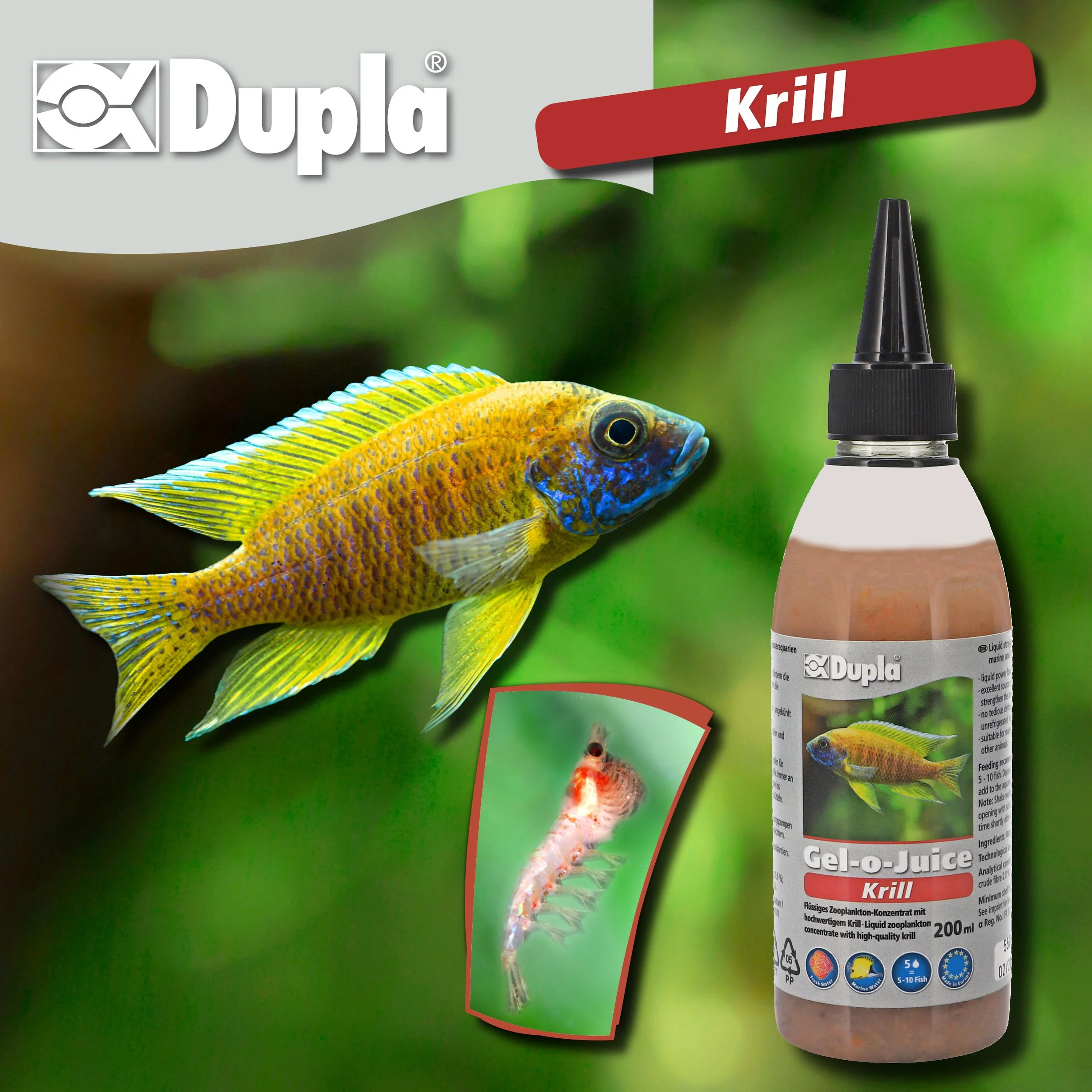 Krill1.jpg