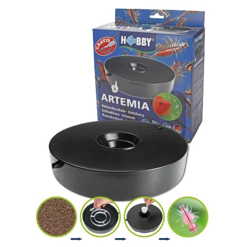 artemia hatchery.jpg