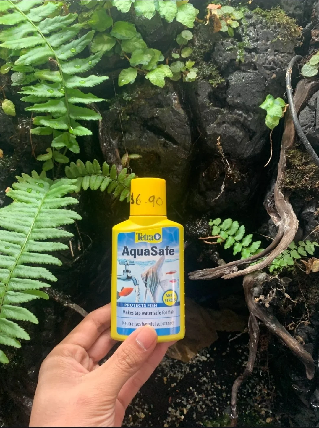 Tetra Water Conditioner