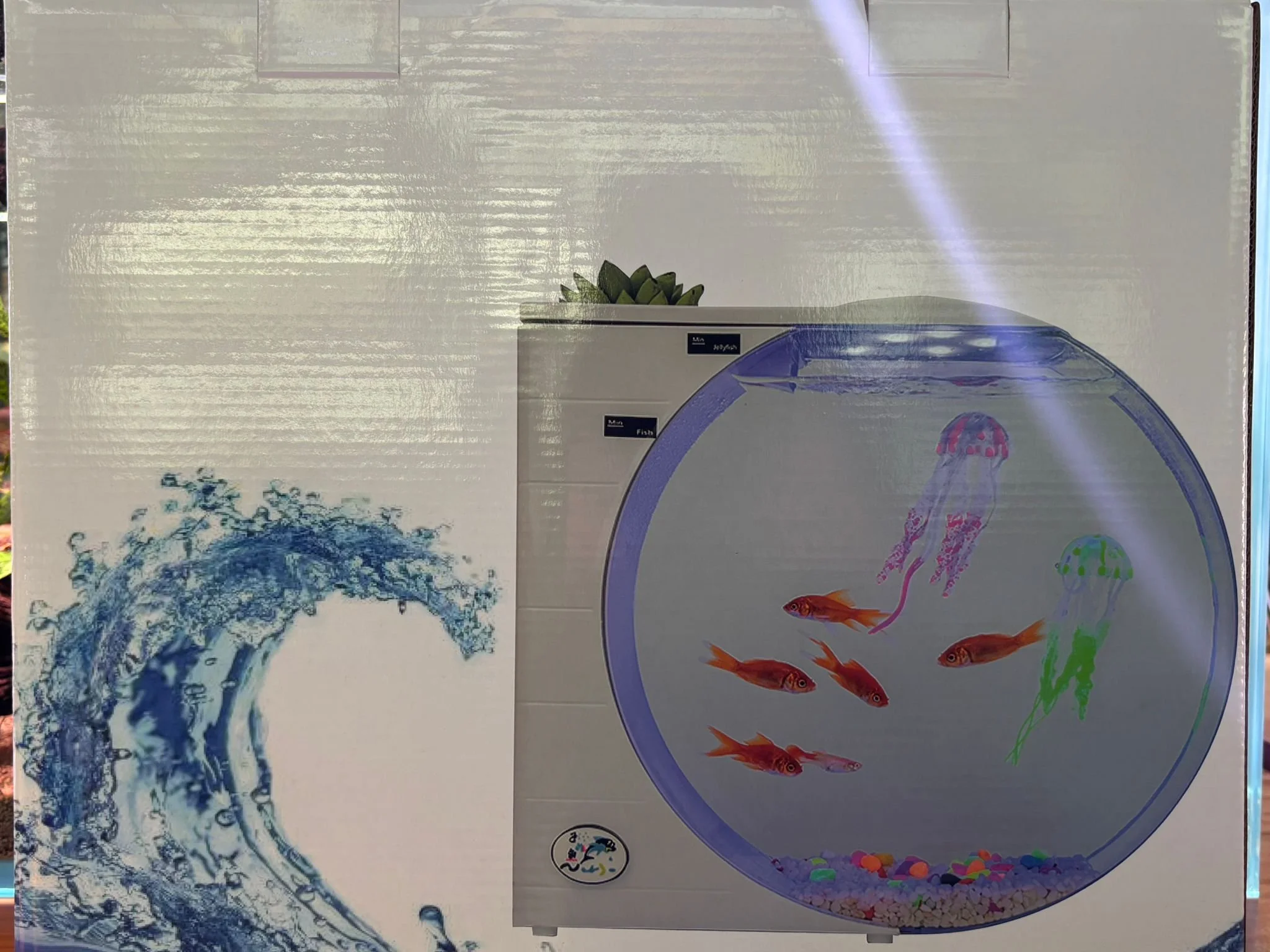 White Jellyfish Tank