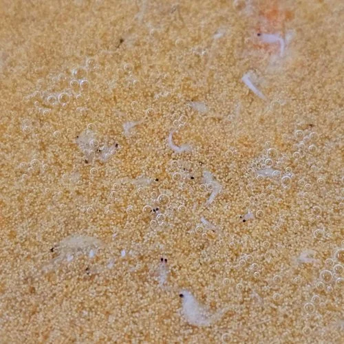 Special mix1.jpg