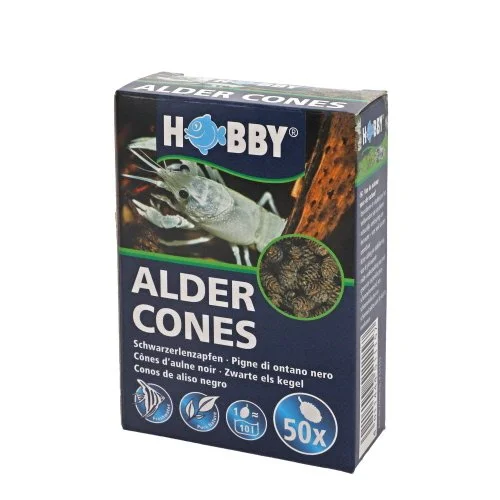 Alder cones.jpg
