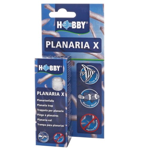 Planaria X.jpg