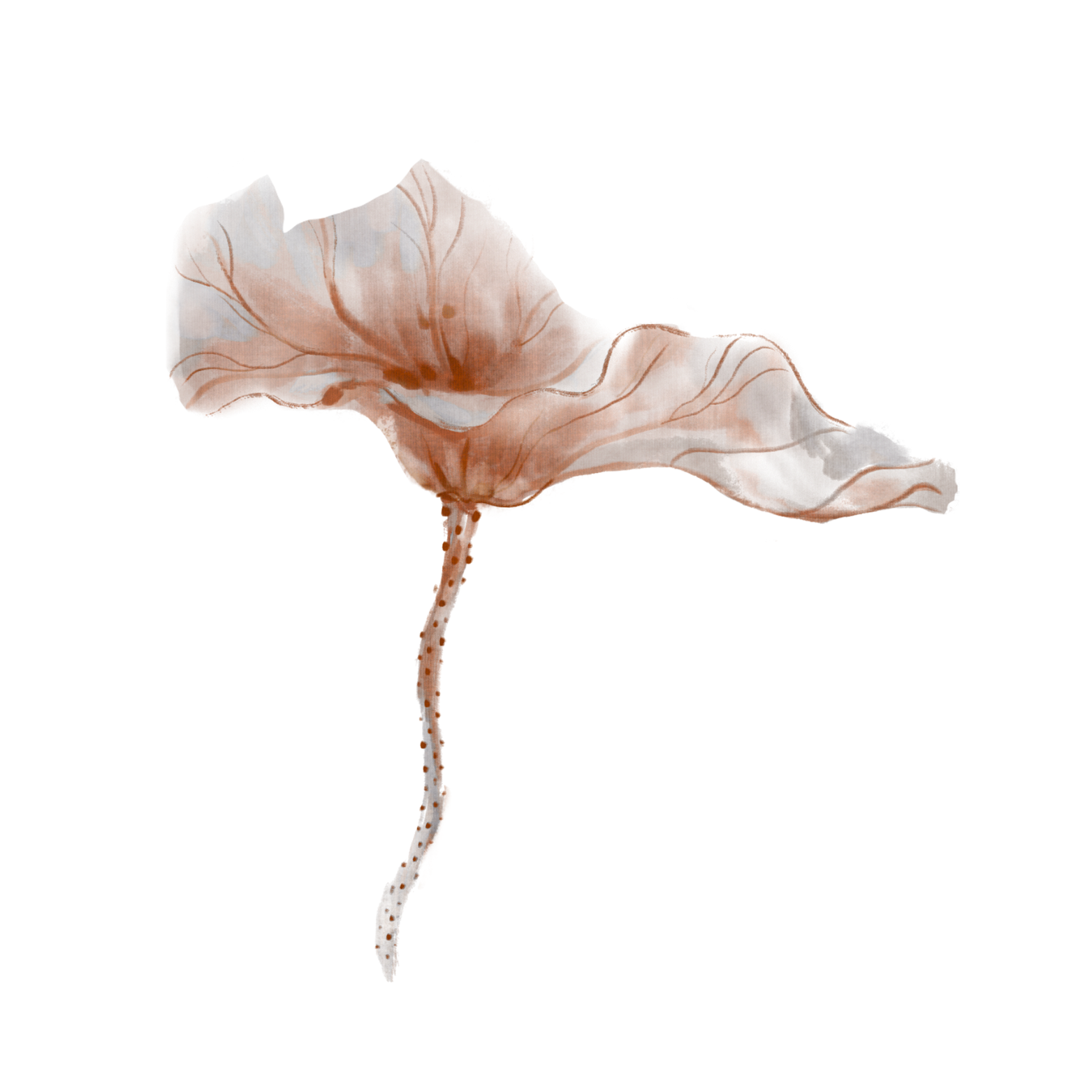 Botanical art logo of Enclave by Ashbi Abraham. Science-based coaching to manage work stress and burnout.