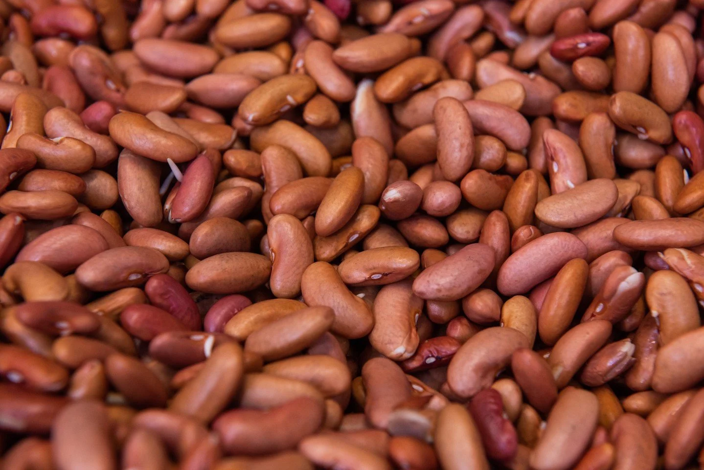 Red beans &amp; rice simmering on our mind 🫘 Come and get a plate, it's Monday! ⁠
⁠
#neworleansrestaurant #comfortfood #casualdining