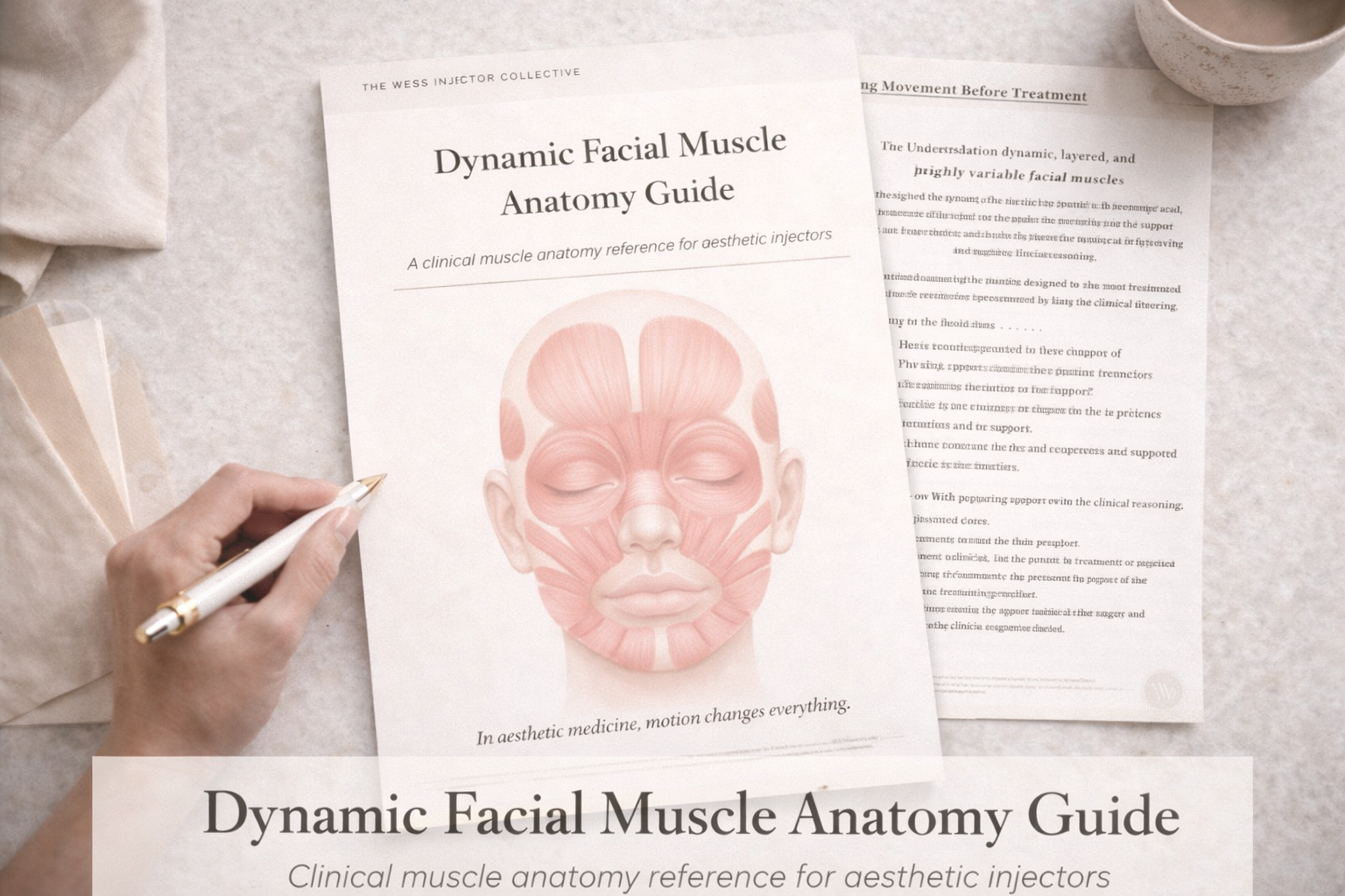 Dynamic Facial Muscle Anatomy Guide