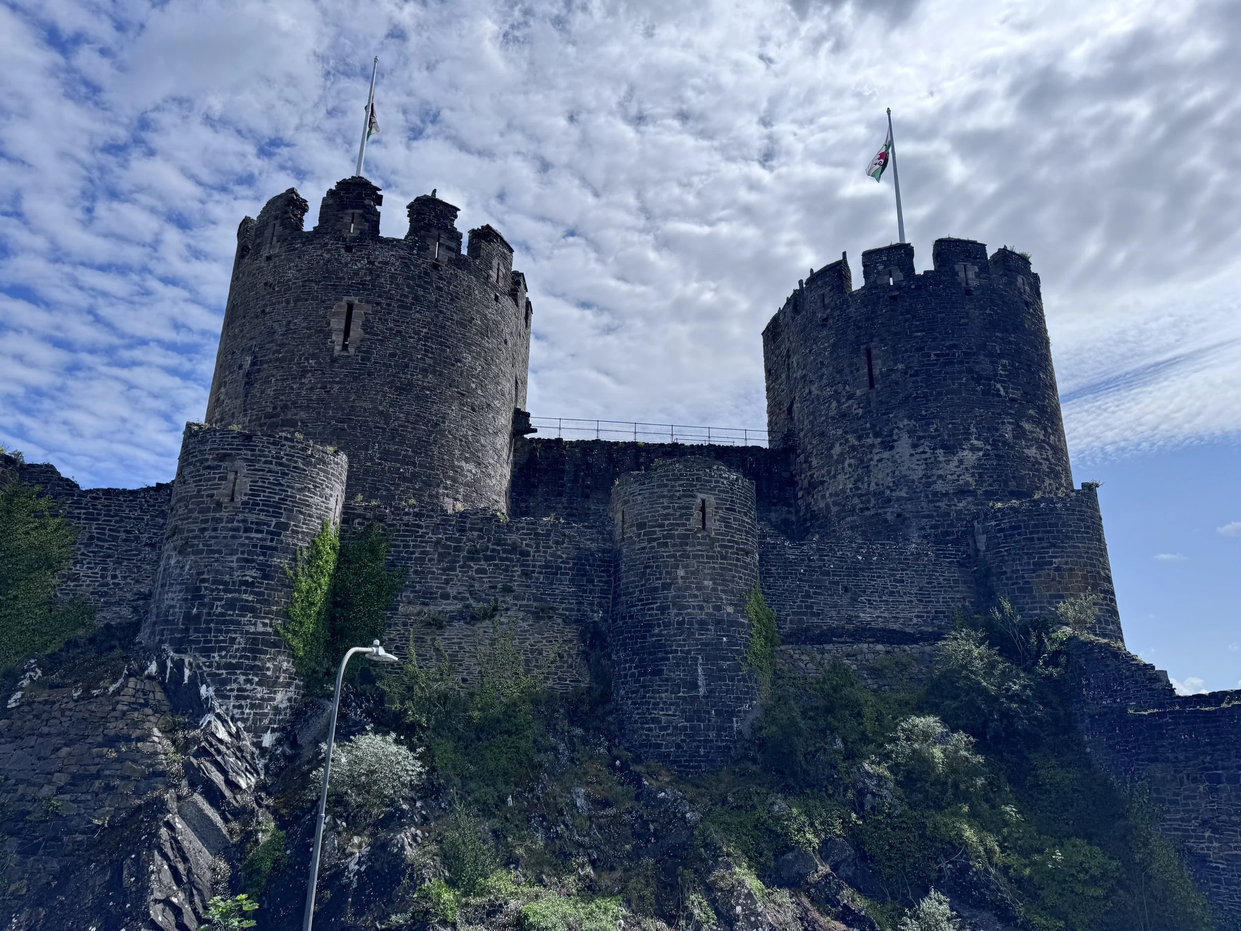 2025-07-03 11.32.29.jpg