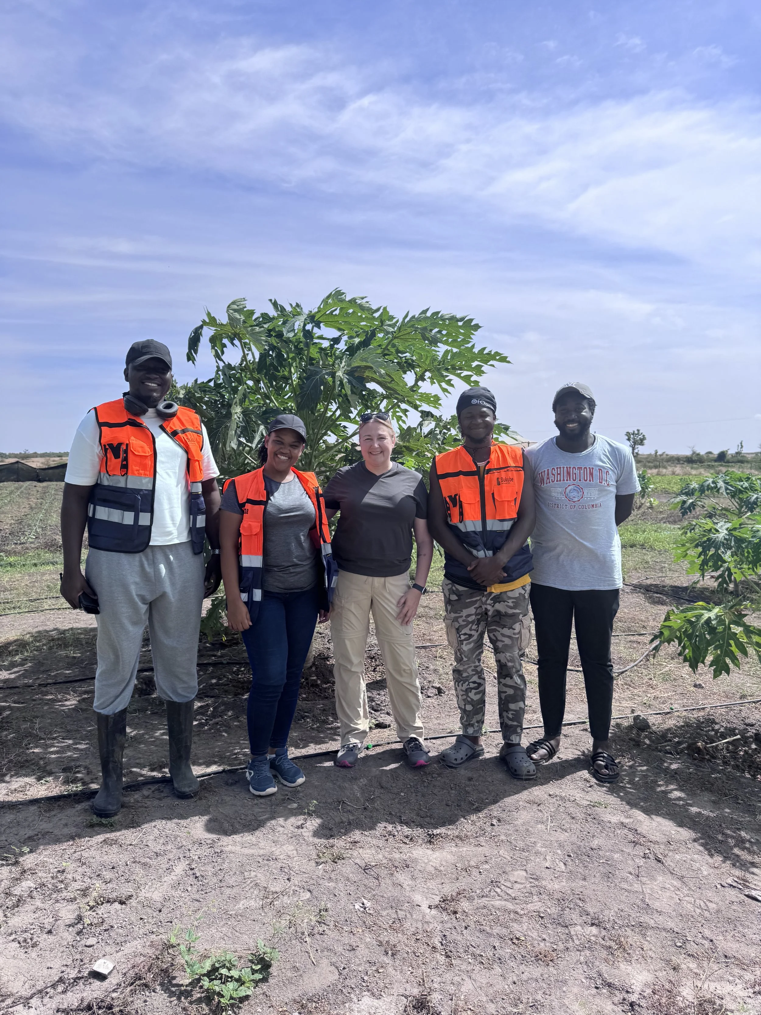 The farms of West Africa 