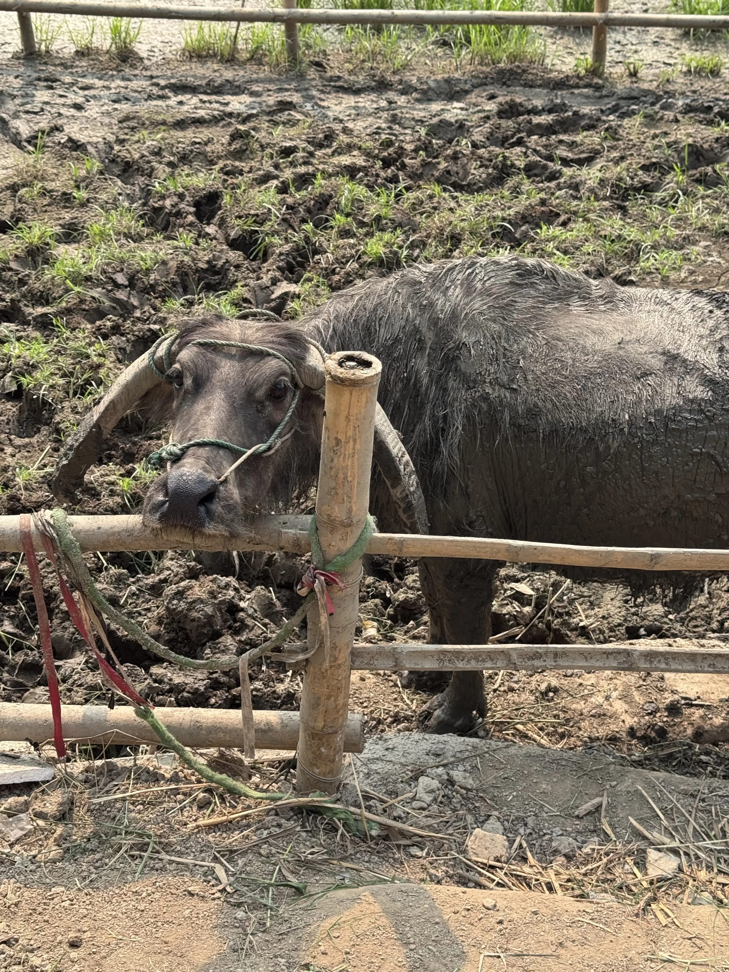 Vietnam - Days 1 and 2