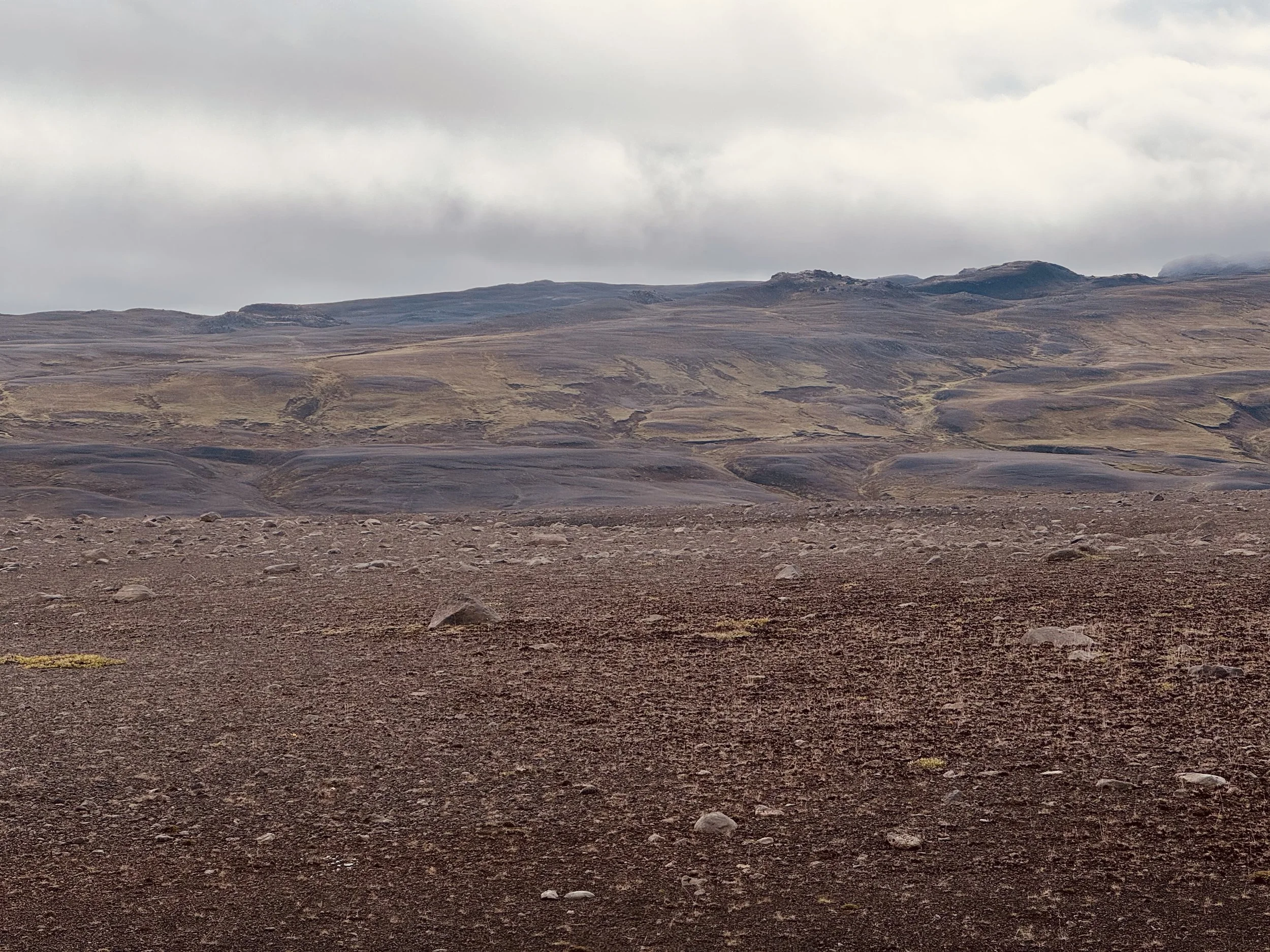 A Test Run for Kilimanjaro