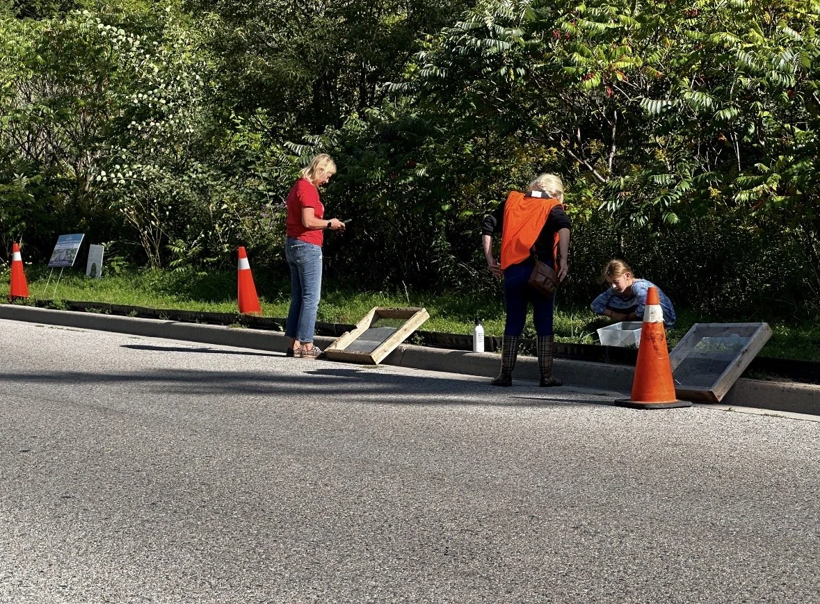 Three people, two women and a girl, examining displays on the side of the road near orange traffic cones, with greenery in the background.