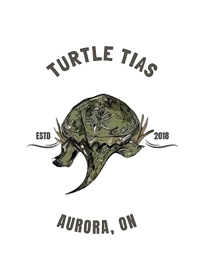 Aurora Turtle Tias