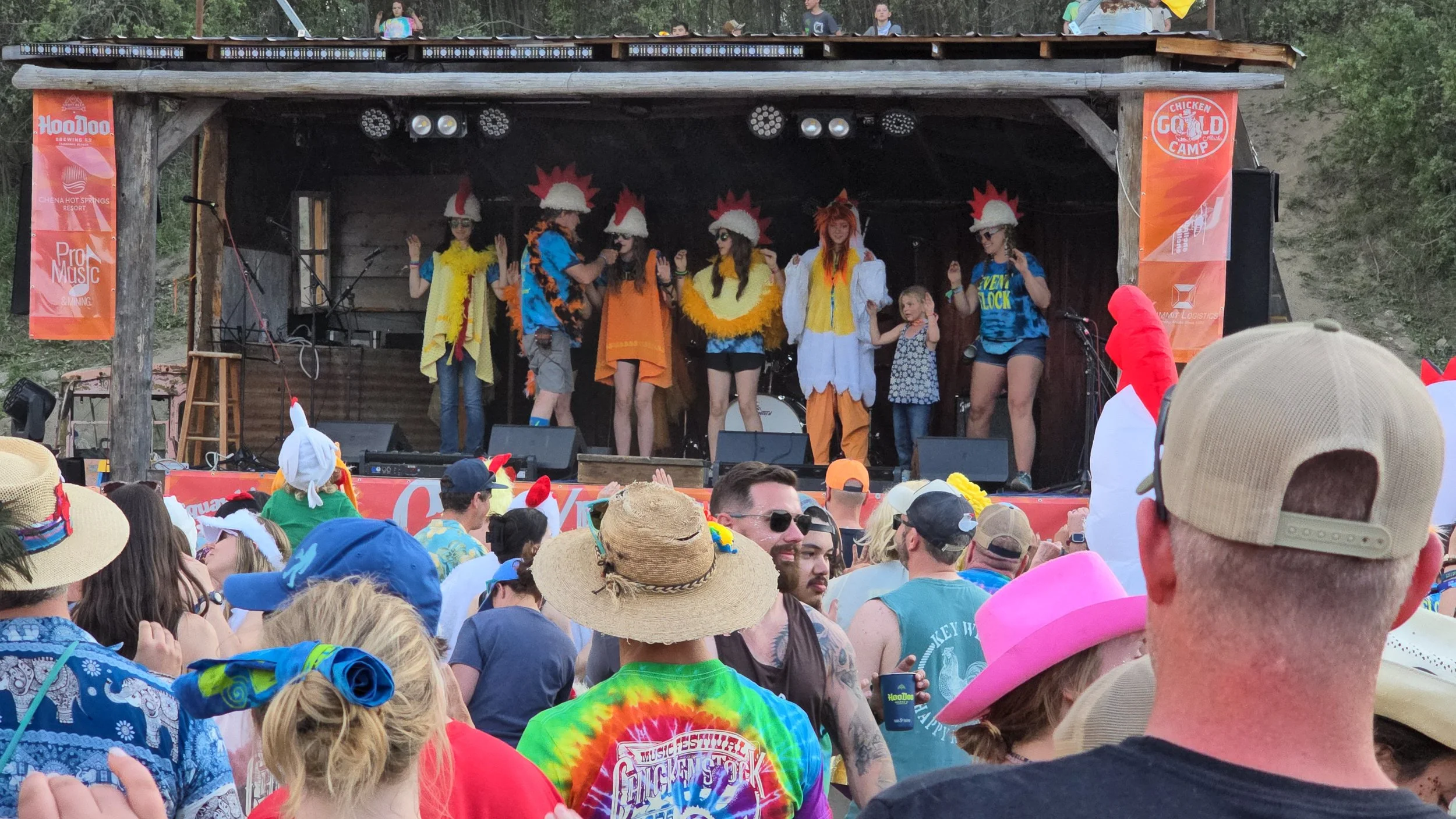 People performing on a wooden stage at an outdoor music festival, dressed in colorful costumes with feathers and hats, in front of a crowd wearing summer hats and costumes.