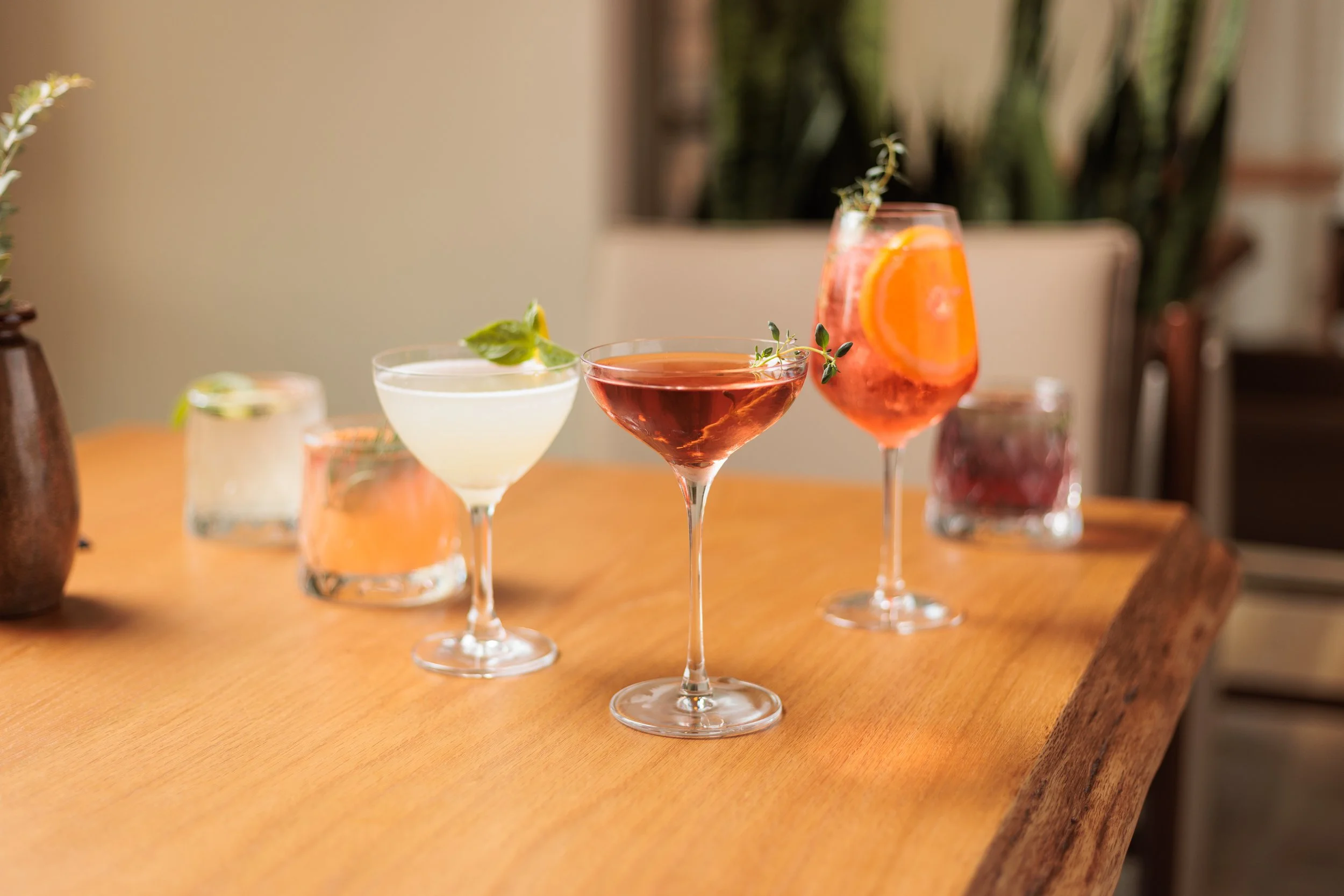 Field & Vine Drinks