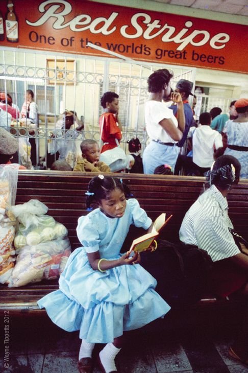 The Storyteller (New Books)