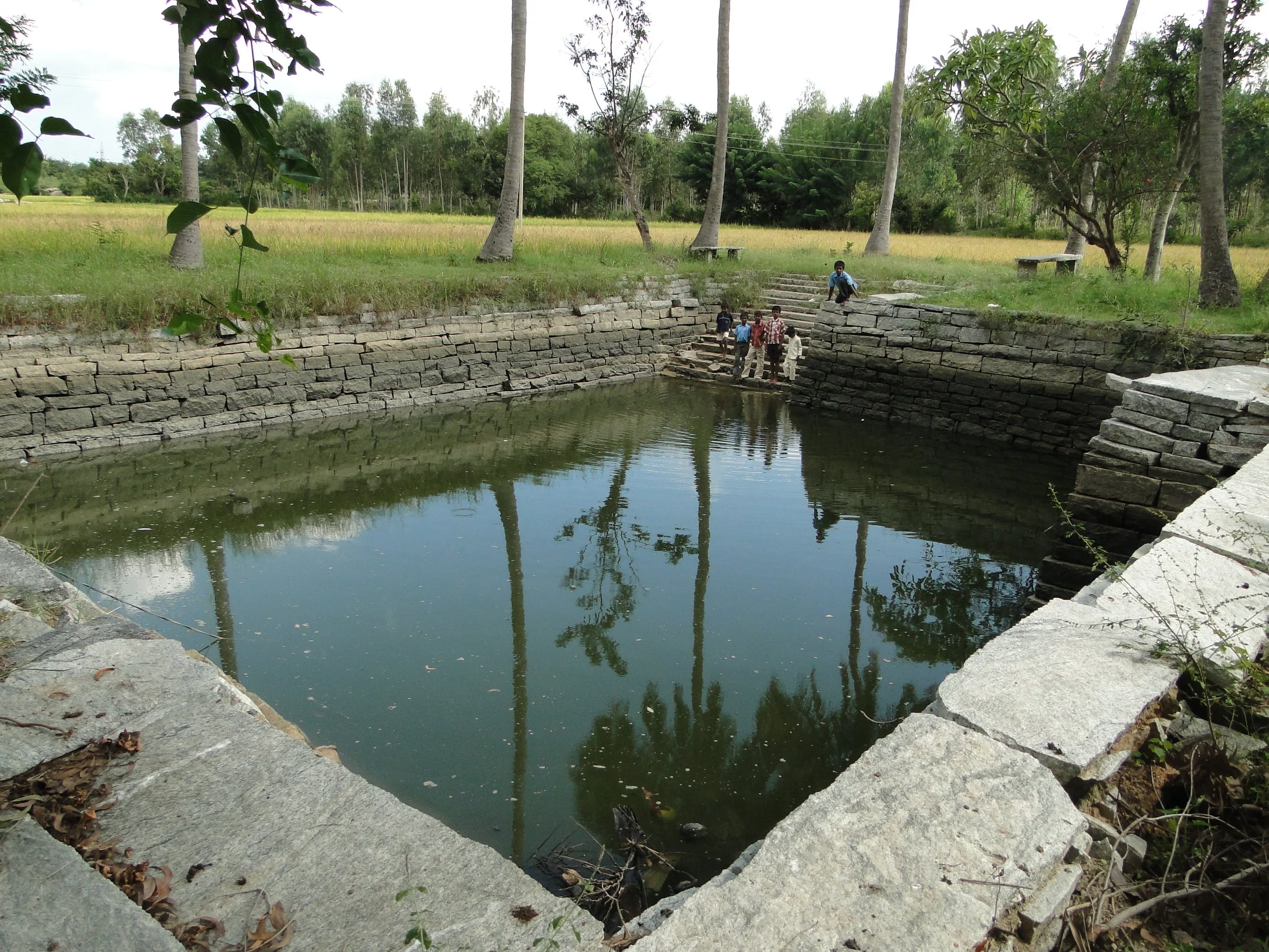 Rainwater Harvesting