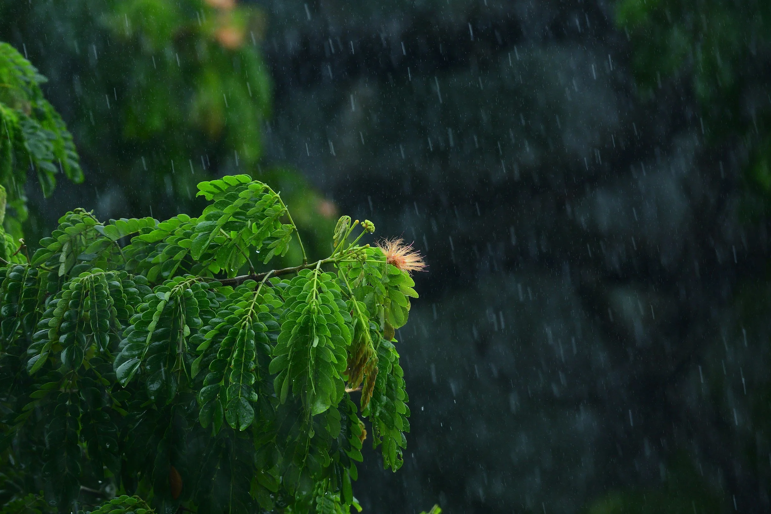 unsplash-image-NIUjmDXWPuA.jpg