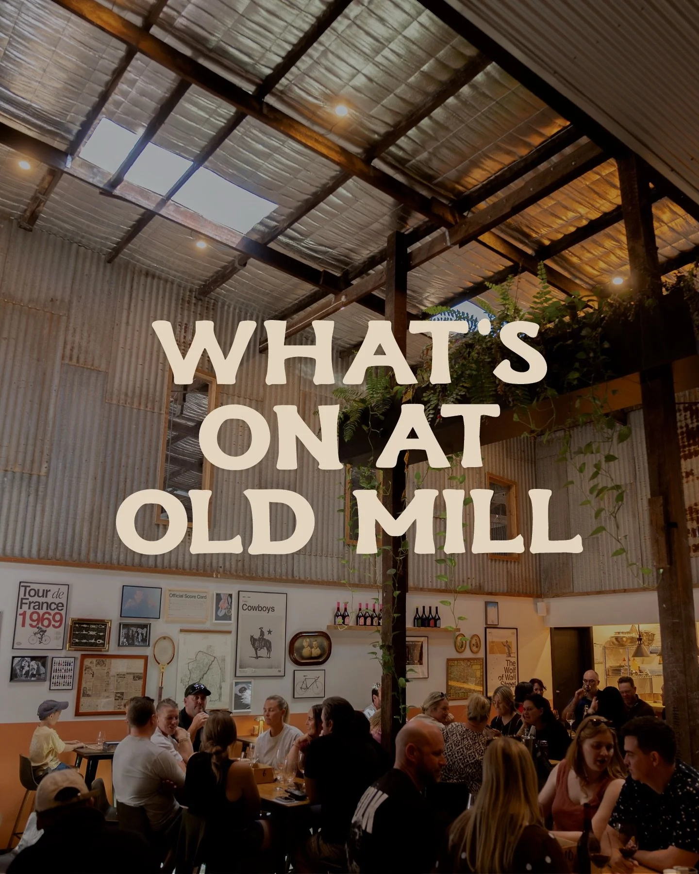 Plenty happening at Old Mill this week 🍻

We&rsquo;re kicking things off with Survey Says tonight, followed by Open Mic Night on Thursday and Happy Hour-ish on Friday.

Live music this week includes Crybaby Cletus on Friday from 6pm to 9pm, Colonel 