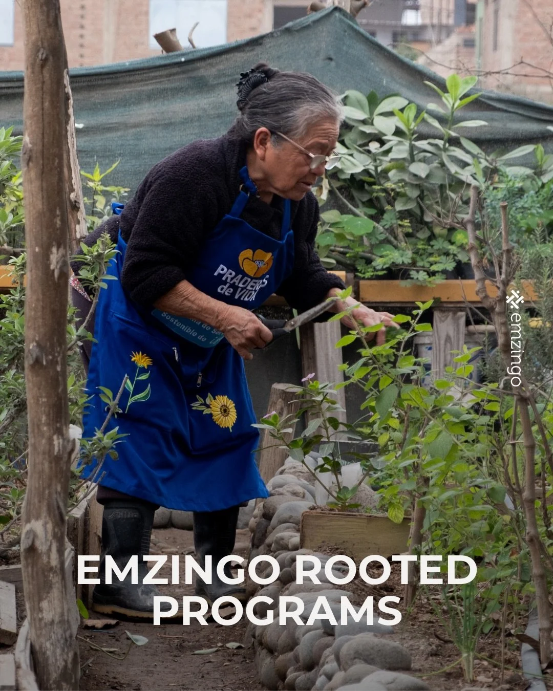 What are Emzingo Rooted Programs?

Rooted Programs are EmzingolU&rsquo;s signature experiential learning programs for universities and students.

They offer hands-on consulting projects with nonprofits and social enterprises, combined with leadership