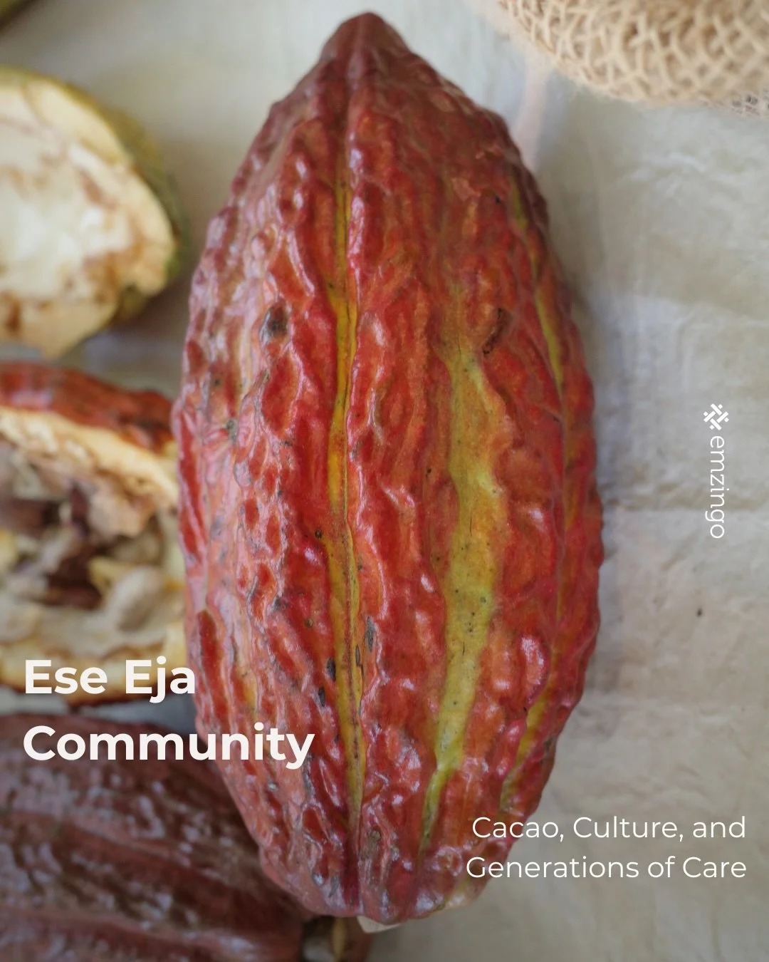 In the Ese Eja community, cacao grows with the forest. Watching beans transformed by hand, you see tradition, knowledge, and care passing through generations.

The Change Maker Program is designed in collaboration with @wyss_academy and @goodwallapp.