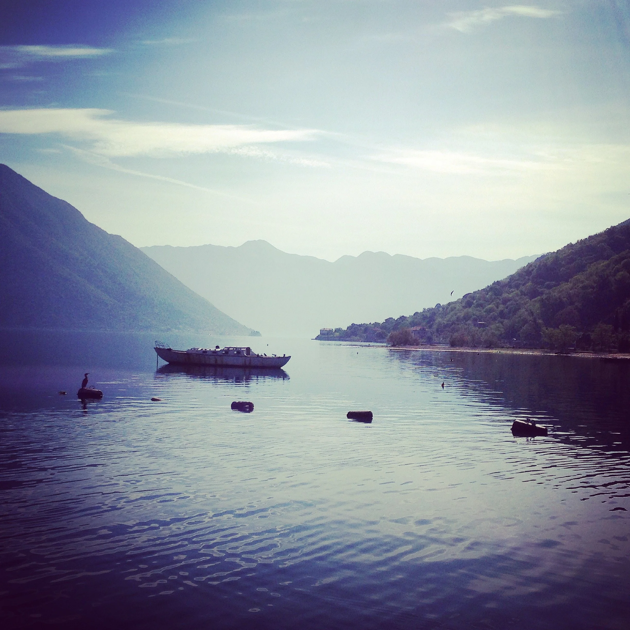 Paysage naturel paisible symbolisant l'harmonie digestive et spirituelle