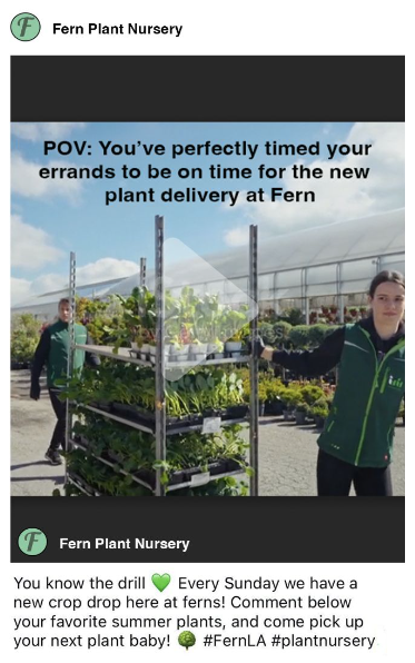 Screen Shot 2025-12-10 at 12.17.54 PM.png