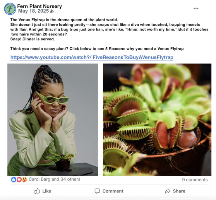 Fern LA (Case Study)