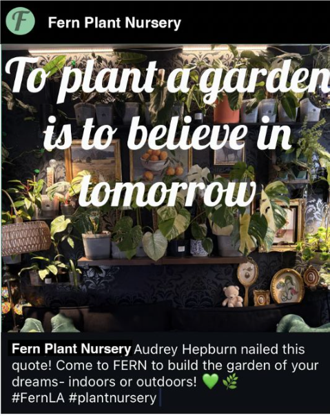 Screen Shot 2025-12-10 at 12.16.47 PM.png