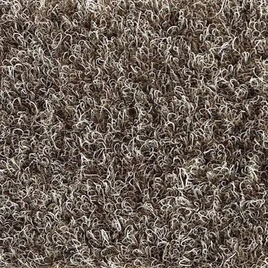Seashell Carpet