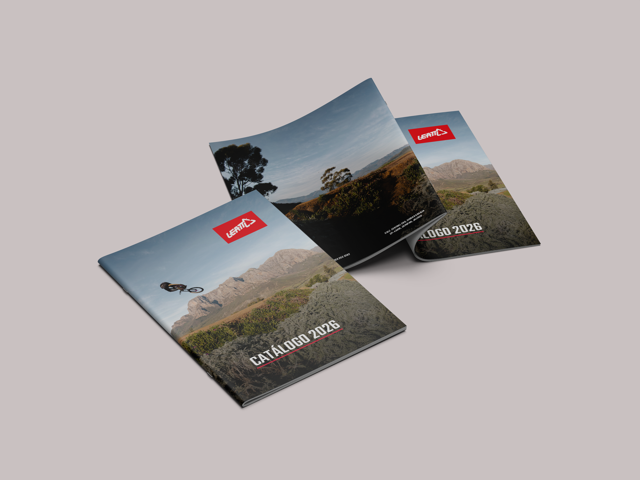03. Magazine Mockup.png