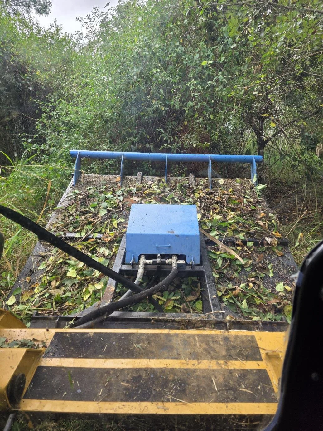 Forestry Mulching & vegetation Clearing Mackay, EJ's Plant Hire & Vgegetation Management