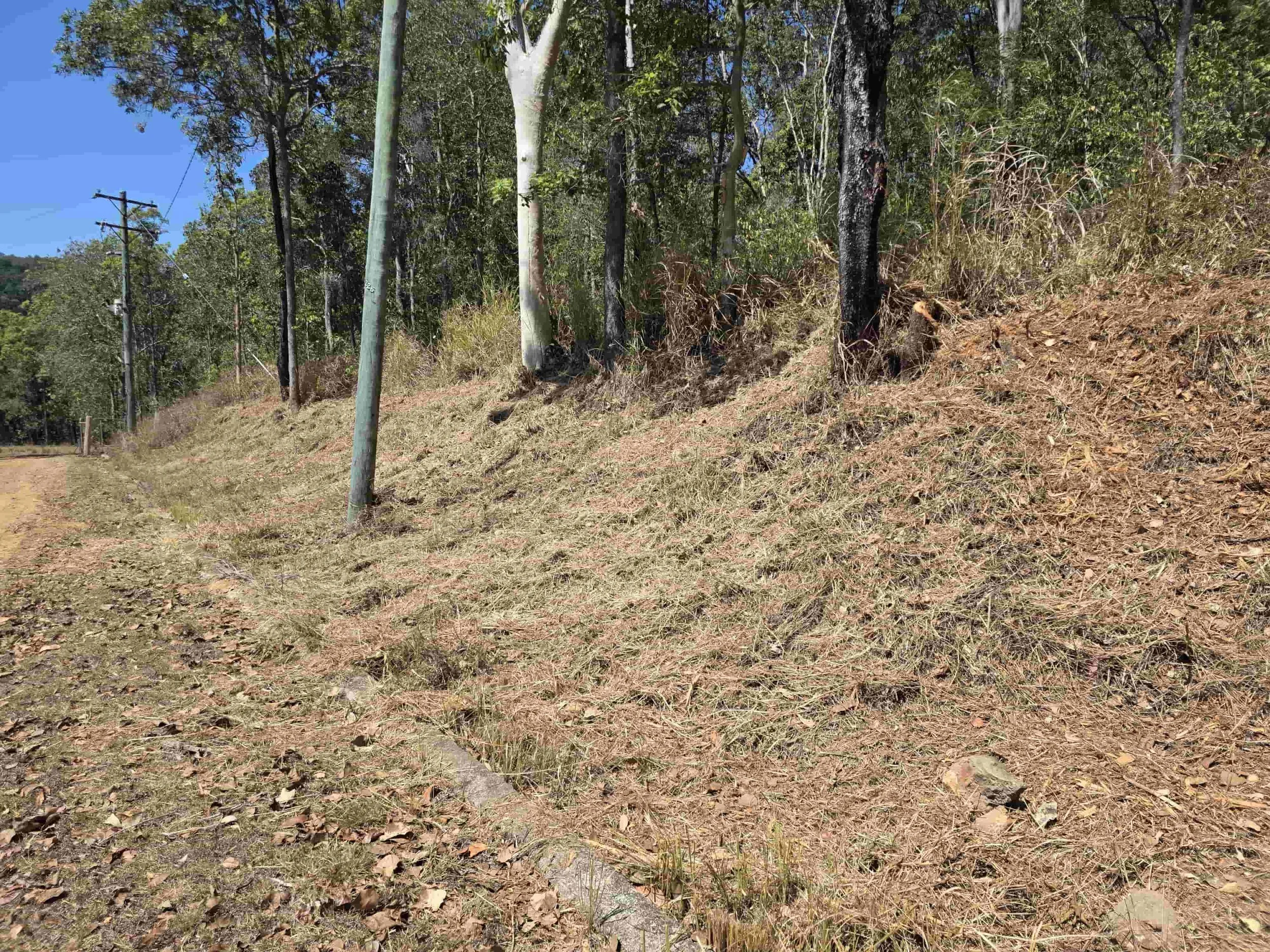 Mackay Sustainable Forestry Mulching & Vegetation Management