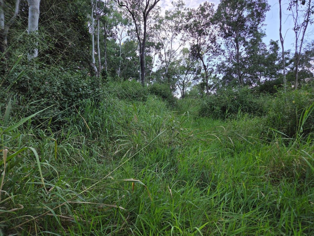 Professional Paddock Slashing, Roadside Maintenance & Overgrowth Control Across Greater Mackay